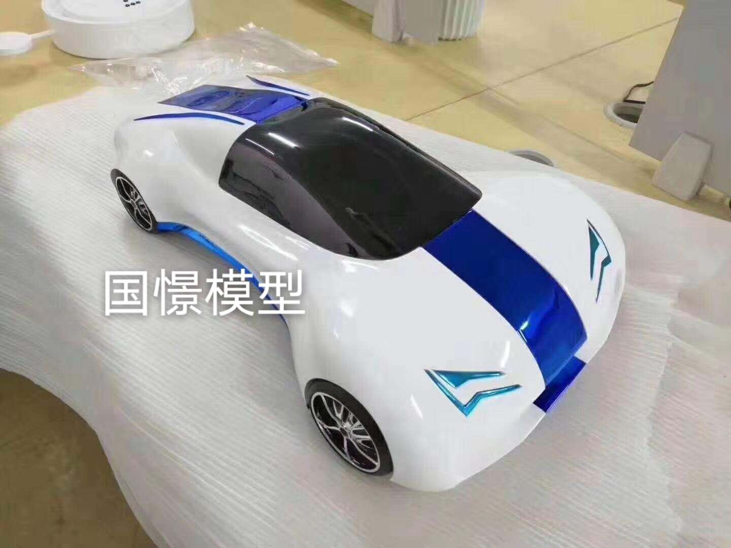 册亨县车辆模型