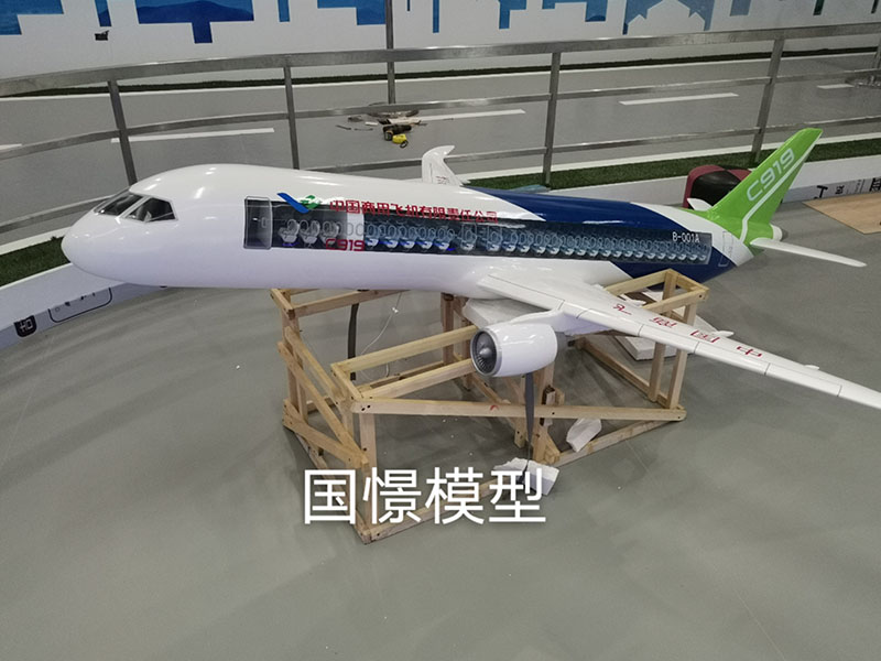 册亨县飞机模型